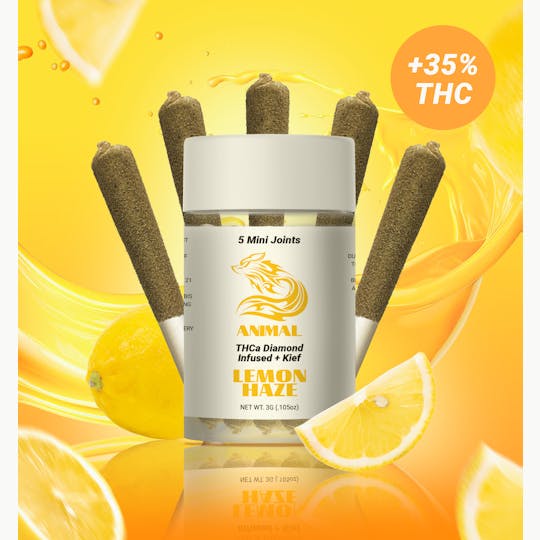 Animal - 5pk(3G) Lemon Haze / THCa Diamond infused Joint - 1