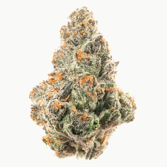 Quality Over Quantity - Alien Runtz Flower 14g - 1