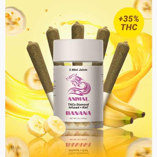 Animal - 5pk(3G) BANANA / THCa Diamond infused Joint - 1