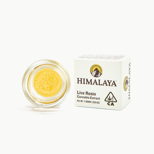 HIMALAYA - Honey Banana (Live Resin Concentrate) - 1G - 1