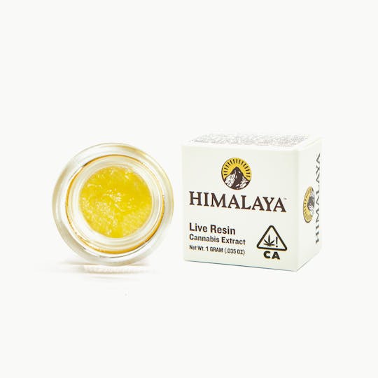 HIMALAYA - Fatso (Live Resin Concentrate) - 1G - 1