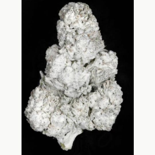 Animal - Snow Cap - Indica - 49.9% THC - 1