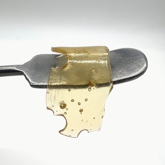 Northeast Alliance - Glazed Apricot Gelato Shatter - 1