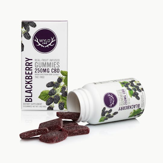 WYLD - Blackberry CBD Gummies | 10-Pack | 250mg - 1