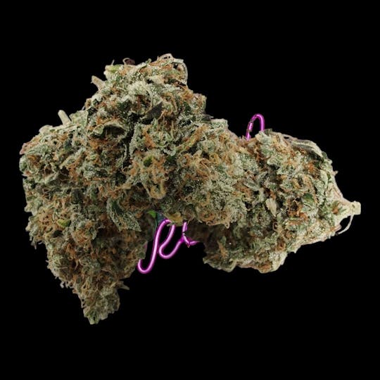Above All Greenery - Brand - Jungle Breath - 1