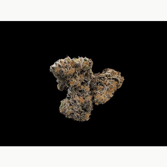 Above All Greenery - Brand - Biscotti Gelato - 1
