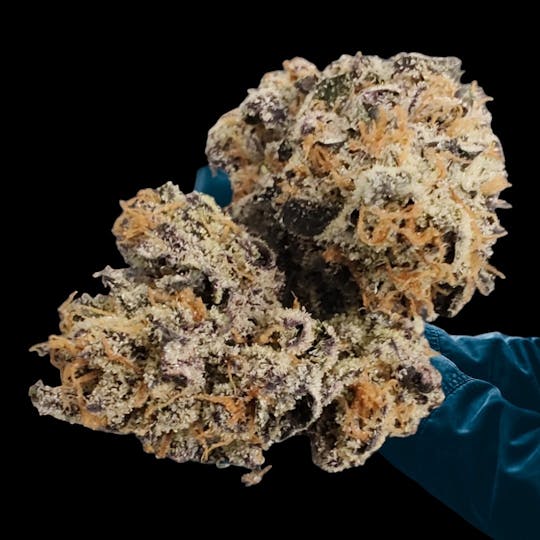 Above All Greenery - Brand - Jokers Candy - 1