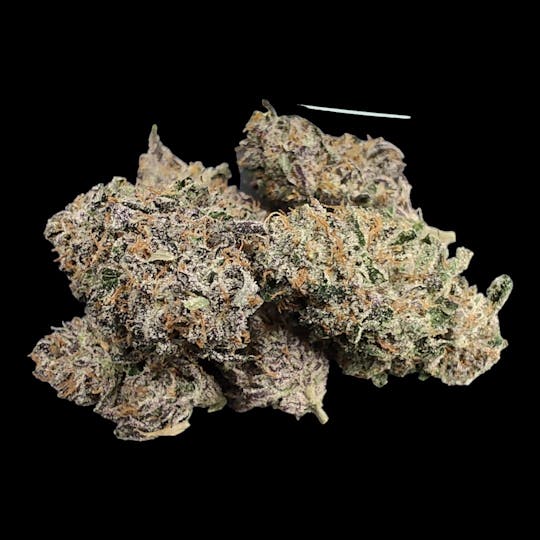 Above All Greenery - Brand - 10G's - 1