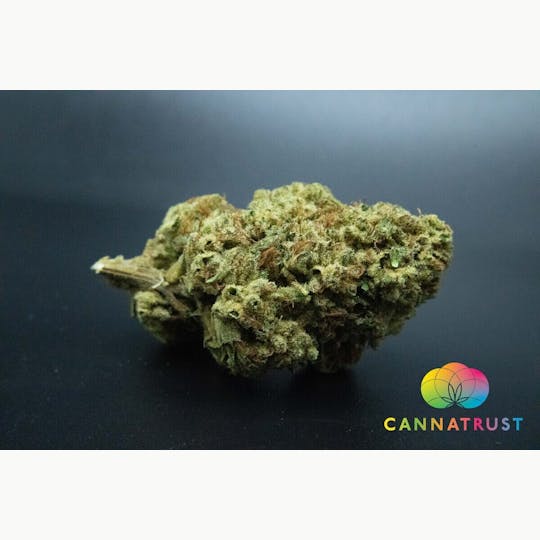 Trusty Transportations - Red Sangria 1 Gram(28%THC, Sativa) - 1