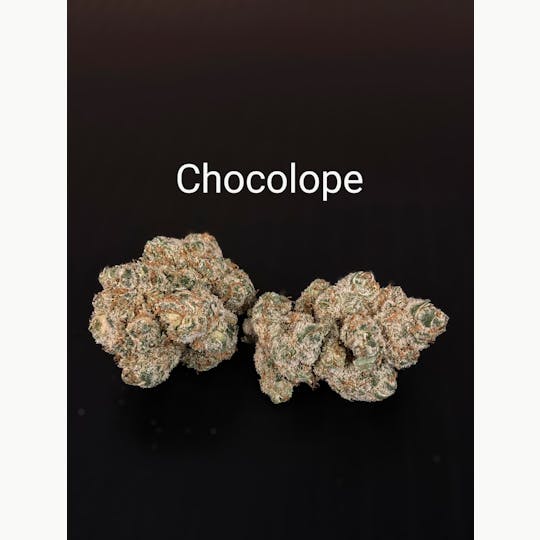 Above All Greenery - Brand - Chocolope - 1