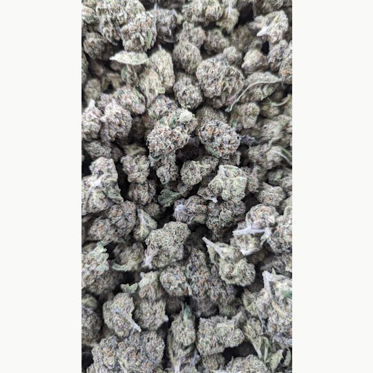 Top Shelf Express - Gushers Budlets (3.5G)* - 1