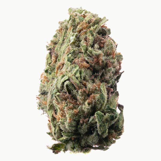 Joy Ridge Farms - Bob Hope Flower - 1