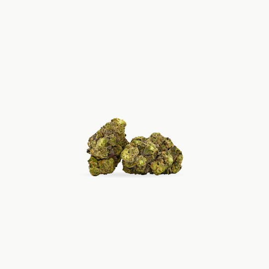 High Variety - ONION BHAJI 5G CAN - 1