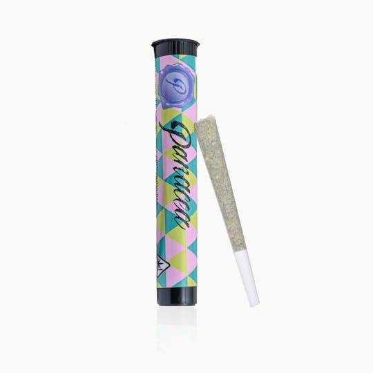 Panacea - Blueberry Cruffin | Indoor Preroll | 1g - 1
