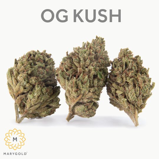 Marygold - OG Kush 3.5g (28% THC Indica) - 1