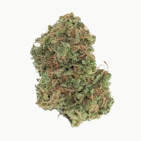 Grassroots - Baby Jokerz - Flower - 1