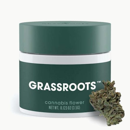 Grassroots - Blue Breath Mints Flower - 1