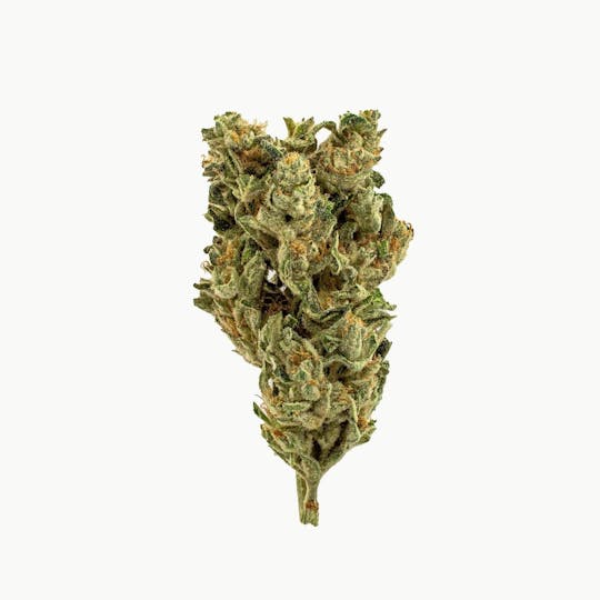 Grassroots - Mellow Fellow Flower - 1