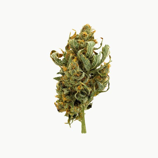 Grassroots - Chem Dawg Flower - 1