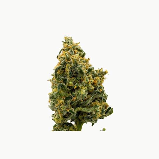 Grassroots - Pelirroja Flower - 1