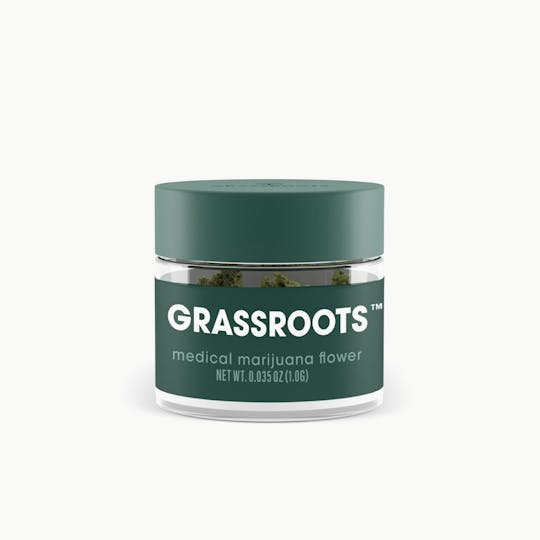 Grassroots - Drops Of Jupiter Flower - 1