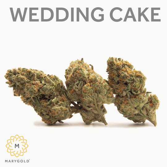 Marygold - Wedding Cake 3.5g (25% THC Indica) - 1
