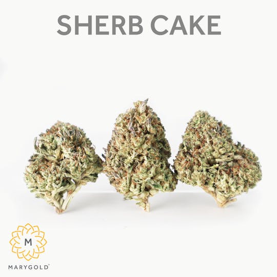 Marygold - Sherb Cake 14g (Indica 25% THC) - 1