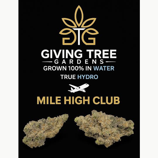 Giving Tree Gardens - MILE HIGH FLOWER - 1