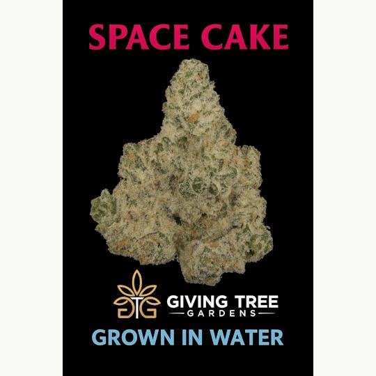 Giving Tree Gardens - SPACE CAKE FLOWER - 1