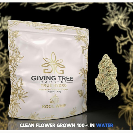 Giving Tree Gardens - Kool Whip Flower - 1