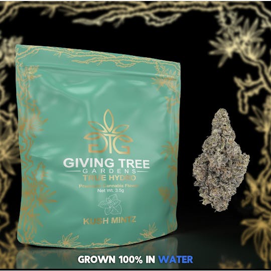 Giving Tree Gardens - KUSH MINTZ FLOWER - 1