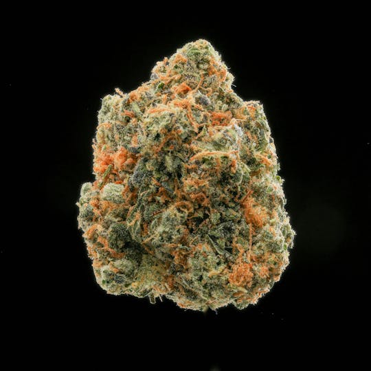 East Coast Cannabis - Citrus Scout - 1