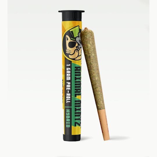 Kush Gardens - El Gato 1g Preroll - Animal Mintz - 1