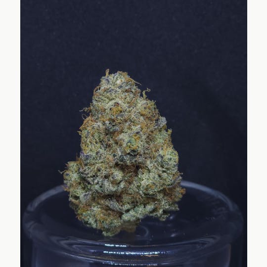 BAM Alaska - GMO Cookies .5g - 20 Pack - 1