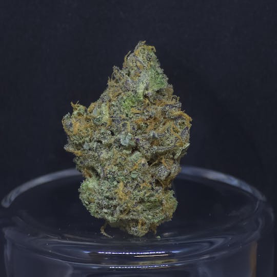 BAM Alaska - Gorilla Paw 1.5g Fat Boy - 1