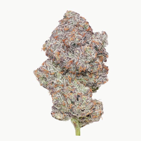 Enlighten - Pink Certz Deli Flower - 1