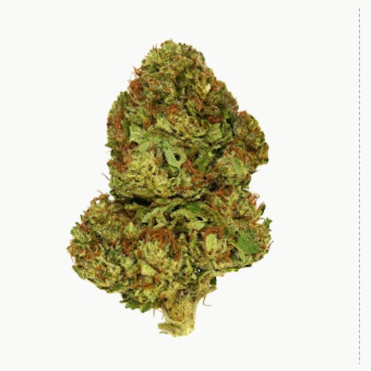 Smoakland - Exclusive - Gushers (H) - 28g - 1