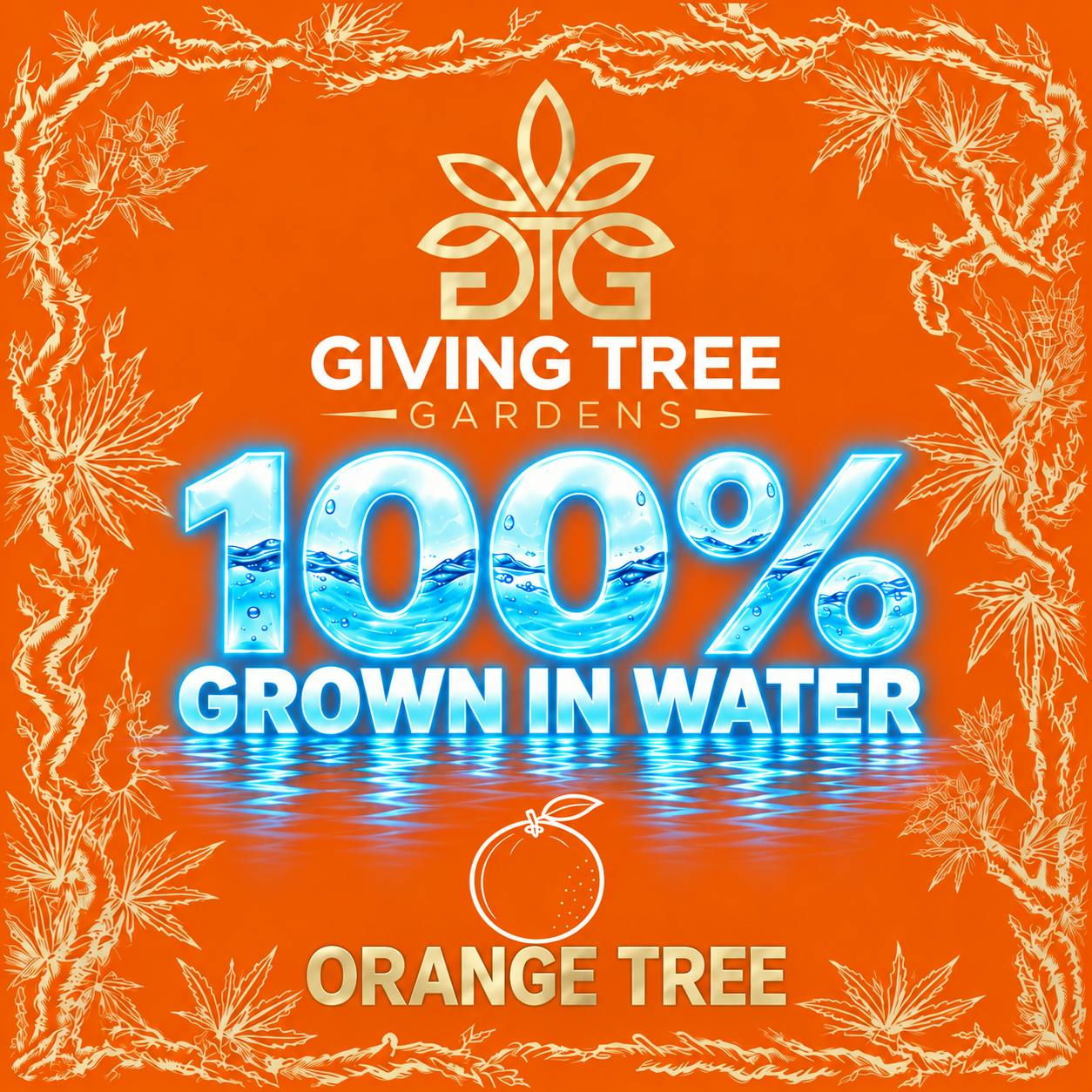 Giving Tree Gardens - Orange Tree – Deli Flower | 100% WATER GROWN • TRUE HYDRO - 1