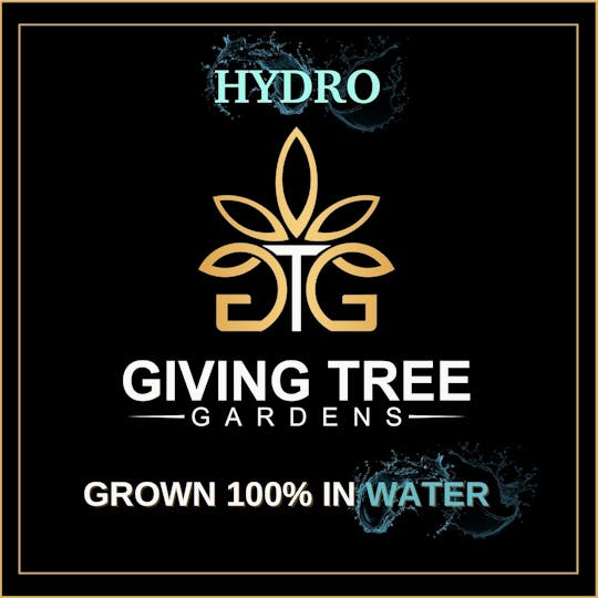 Giving Tree Gardens - Powdered Doughnut 3.5G Mylar - 1