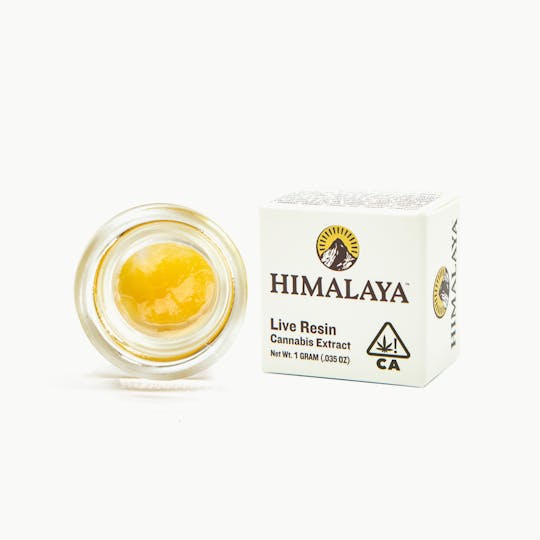 HIMALAYA - OG Kush (Live Resin Concentrate) - 1G - 1