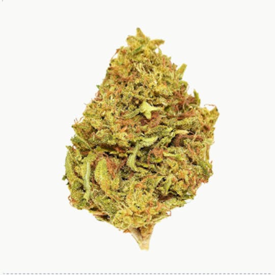 Smoakland - Xclusivez - Gushers (I) - 28g - 1