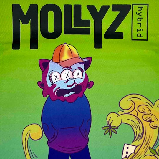 Mollyz - HYBRID - 1