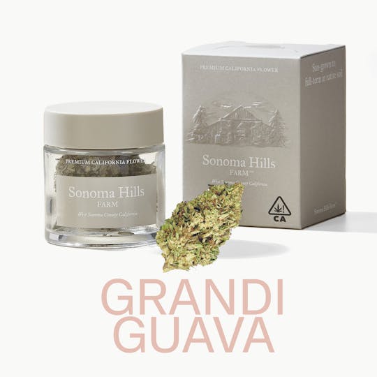 Sonoma Hills Farm - Grandi Guava - 3.5g Flower Jar - 1