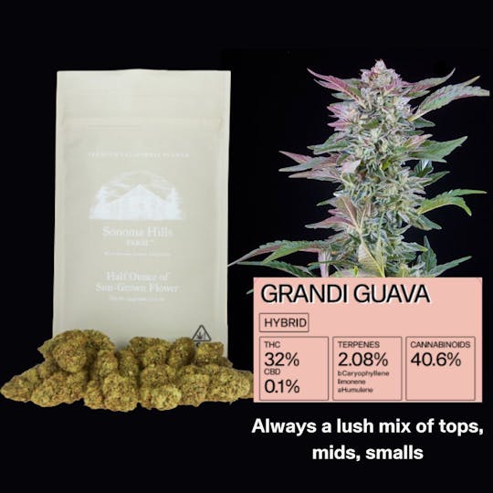 Sonoma Hills Farm - Grandi Guava - 14g Flower Bag - 1