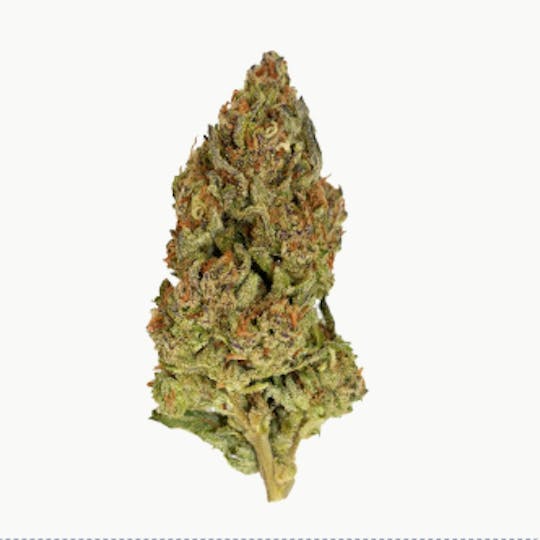 Smoakland - Black - Platinum Kush (H) - 14g - 1