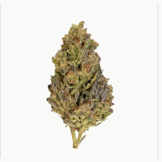 Smoakland - Exotix - Ghost Vapor (H) - 14g - 1
