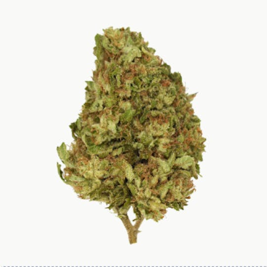 Smoakland - Exclusive - Wappa (H) - 28g - 1