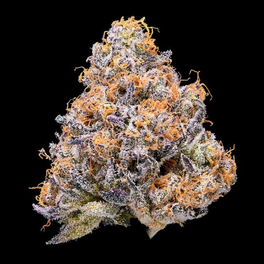 Tribal - Gelato Mint 3.5G - 1