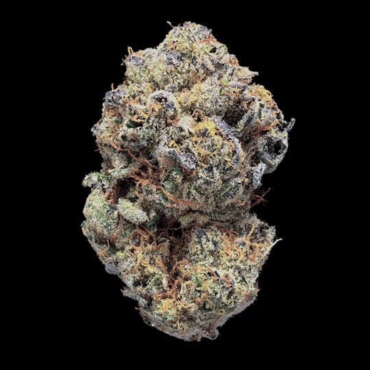 Tribal - Power Sherb 3.5G - 1