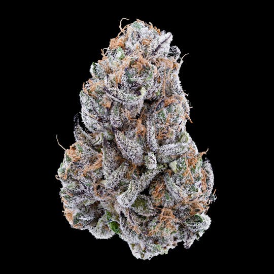 Tribal - Terple 3.5G - 1
